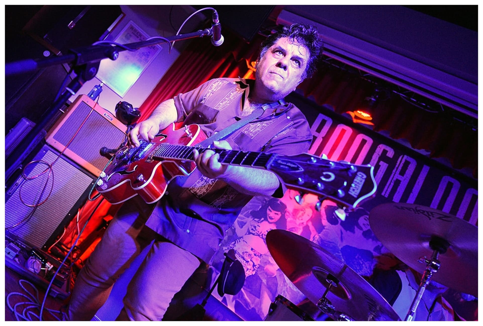 Foto Lobos Negros 18